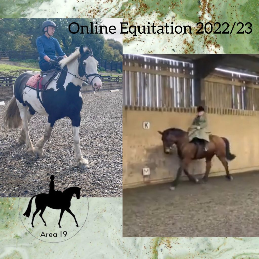 Winter Online Equitation Results